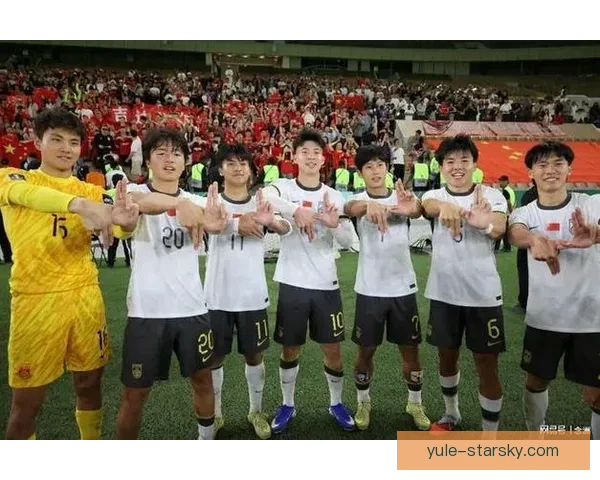 祖国万岁球迷免票观赛使馆促成